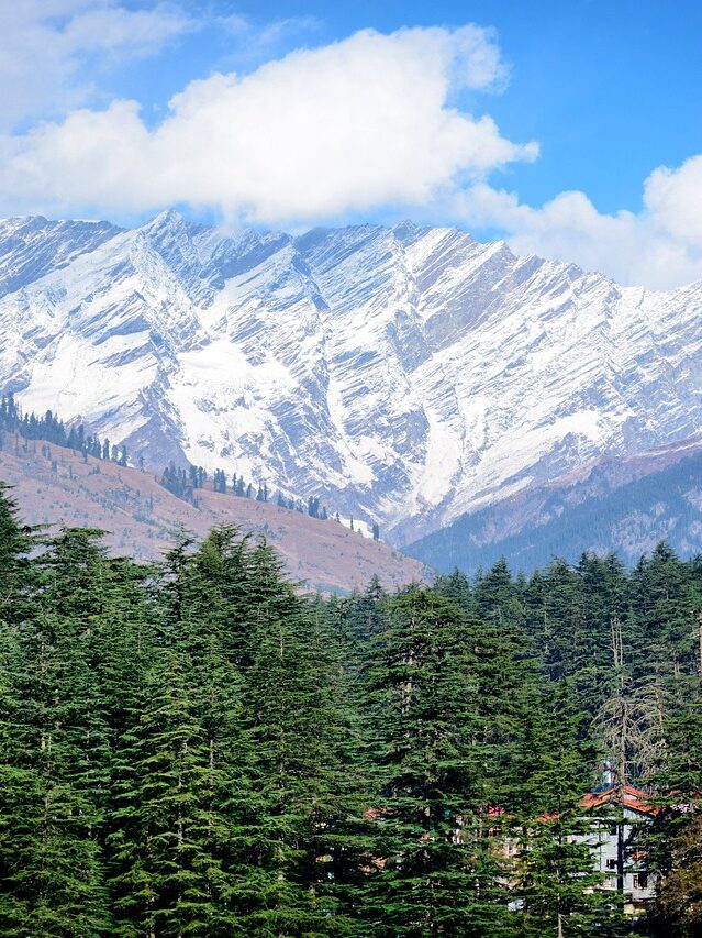 manali, himalayas, quiet-1941787.jpg